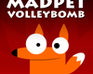 madpet volleybomb Verrücktes Bombenvolleyball 