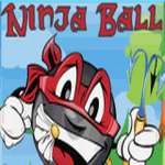 ninja ball Ninja Ball